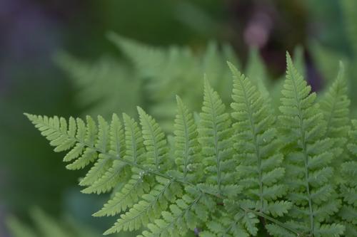 blog photo titled downward