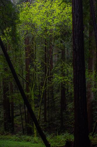 blog photo titled haven
