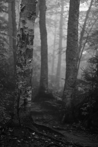 blog photo titled catchup