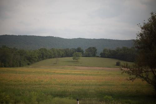 blog photo titled obloquy