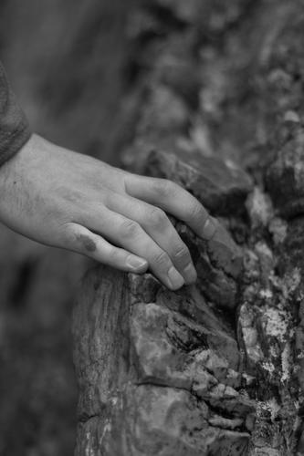 blog photo titled paws