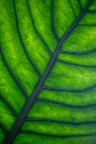 blog photo titled liquid