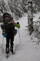 blog photo titled acarophobia