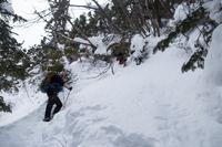 blog photo titled opuscule