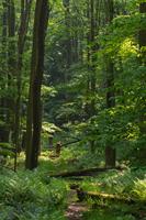 blog photo titled reminded