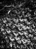 blog photo titled quoz