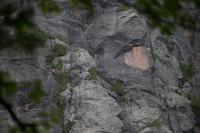 blog photo titled wallface