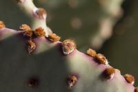 blog photo titled blind