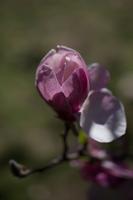 blog photo titled egalitarian