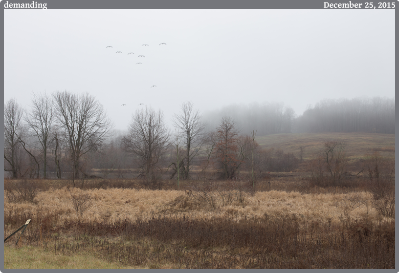 demanding, taken 2015-12-25 || None None | None | None @ None