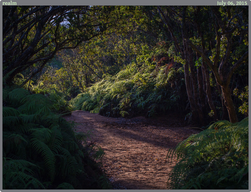 realm, taken 2015-07-06 || Canon Canon EOS 6D | 100mm | 1/100s @ f/10