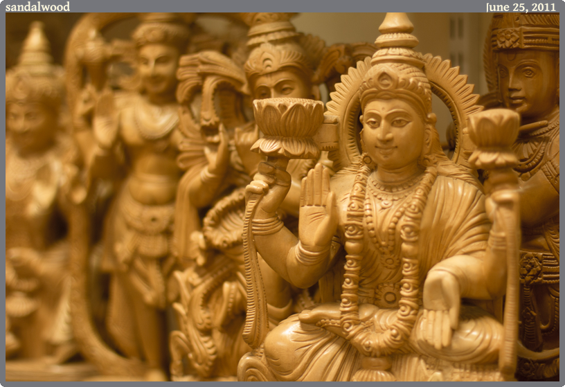 sandalwood, taken 2011-06-25 || Canon Canon EOS REBEL T2i | 50mm | 1/50s @ f/1.8