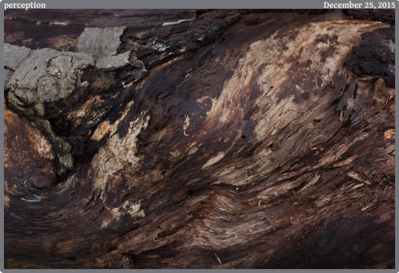 perception, taken 2015-12-25 || None None | None | None @ None