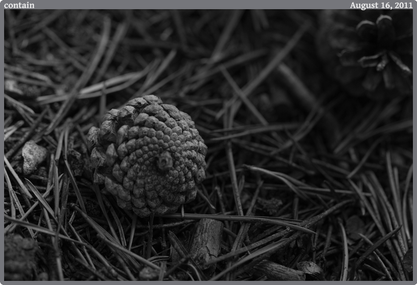 contain, taken 2011-08-16 || Canon Canon EOS REBEL T2i | 100mm | 1/200s @ f/3.2