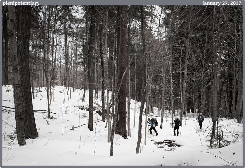 plenipotentiary, taken 2017-01-27 || Canon Canon EOS 6D | 24mm | 1/500s @ f/5