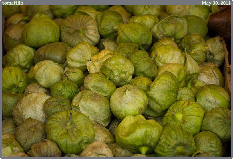 tomatillo, taken 2011-05-30 || Canon Canon EOS REBEL T2i | 100mm | 1/60s @ f/8