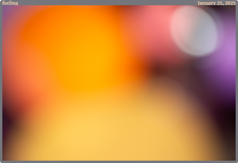 feeling, taken 2025-01-25 || Canon Canon EOS 6D | 100.0 | 1/100s @ 2.8