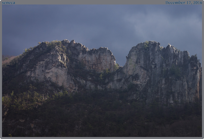 seneca, taken 2016-12-17 || Canon Canon EOS REBEL T2i | 50mm | 1/125s @ f/7.1