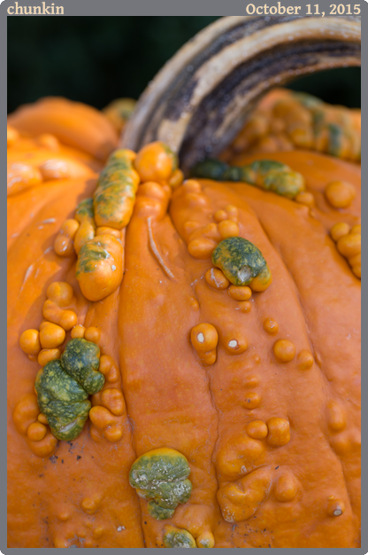 chunkin, taken 2015-10-11 || None None | None | None @ None