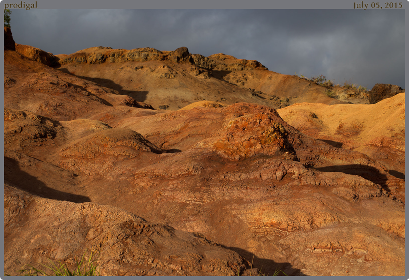 prodigal, taken 2015-07-05 || Canon Canon EOS 6D | 100mm | 1/160s @ f/10