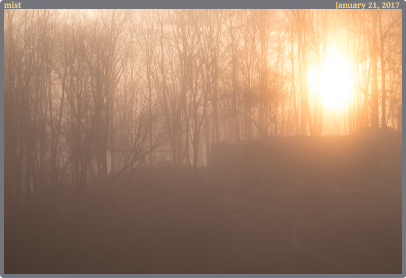 mist, taken 2017-01-21 || Canon Canon EOS 6D | 100mm | 1/60s @ f/8