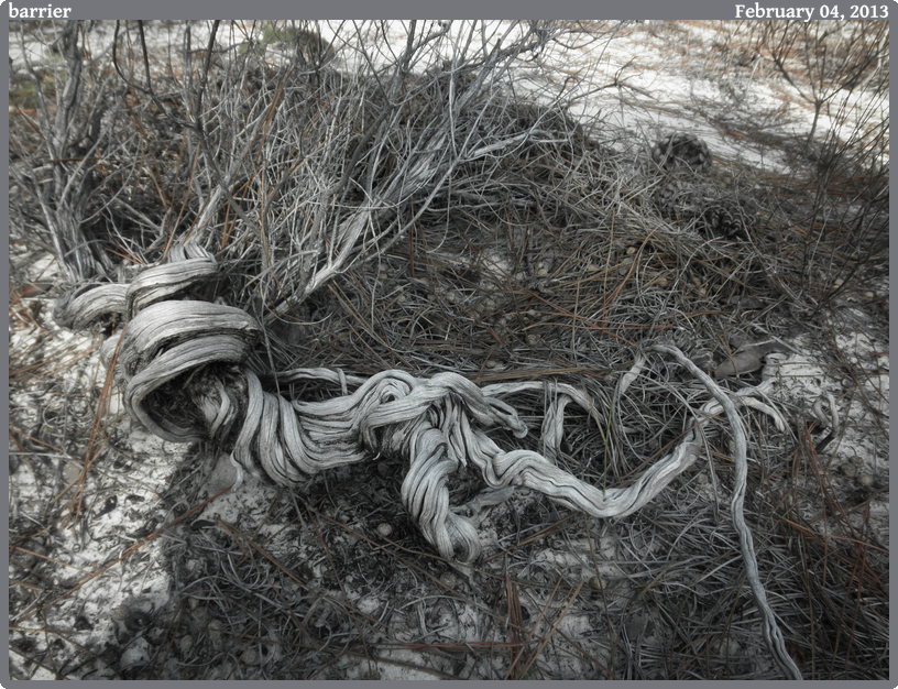 barrier, taken 2013-02-04 || OLYMPUS IMAGING CORP u7010,S7010 | 50mm | 1/500s @ f/3