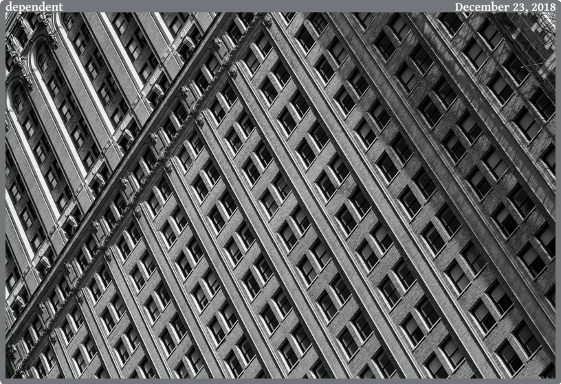 dependent, taken 2018-12-23 || Canon Canon EOS 6D | 100mm | 1/500s @ f/7.1