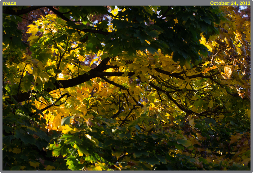 roads, taken 2012-10-24 || Canon Canon EOS REBEL T2i | 100mm | 1/80s @ f/5.6