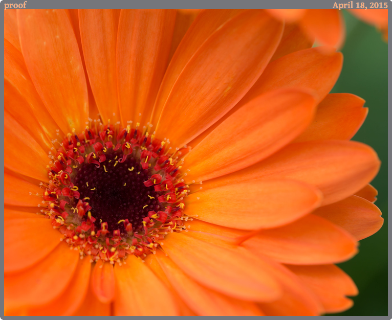 proof, taken 2015-04-18 || Canon Canon EOS 6D | 100mm | 1/80s @ f/4.5