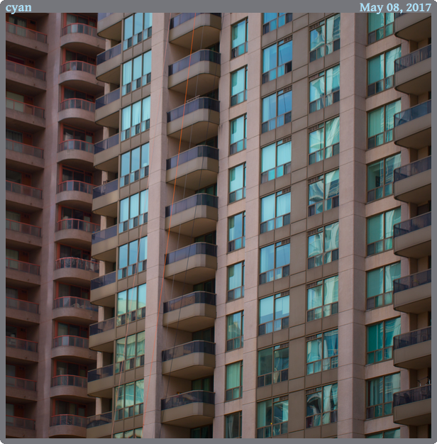 cyan, taken 2017-05-08 || Canon Canon EOS 6D | 100mm | 1/800s @ f/2.8