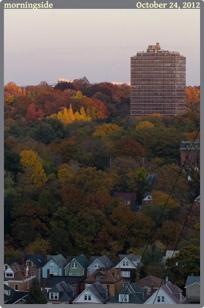 morningside, taken 2012-10-24 || Canon Canon EOS REBEL T2i | 100mm | 1/160s @ f/6.3