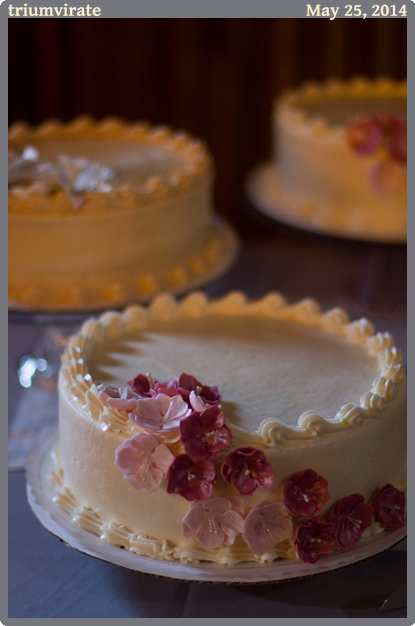 triumvirate, taken 2014-05-25 || Canon Canon EOS REBEL T2i | 50mm | 1/80s @ f/1.4