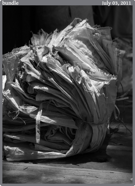 bundle, taken 2011-07-03 || Canon Canon EOS REBEL T2i | 100mm | 1/1600s @ f/2.8