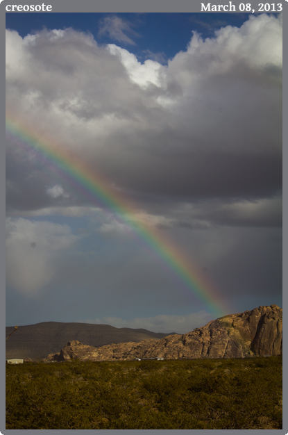 creosote, taken 2013-03-08 || Canon Canon EOS REBEL T2i | 55mm | 1/200s @ f/13