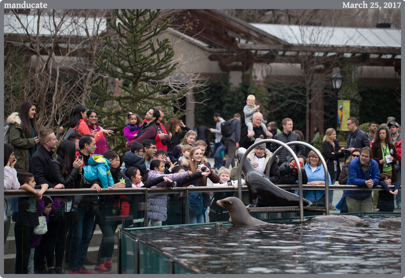 manducate, taken 2017-03-25 || Canon Canon EOS 6D | 100mm | 1/640s @ f/2.8