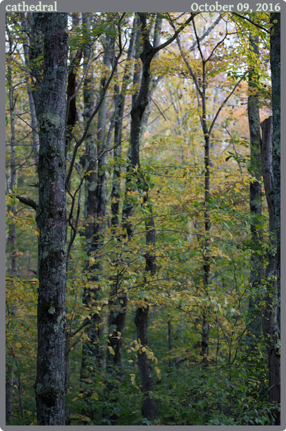 cathedral, taken 2016-10-09 || Canon Canon EOS 6D | 100mm | 1/25s @ f/4