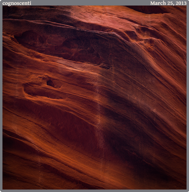 cognoscenti, taken 2013-03-25 || Canon Canon EOS REBEL T2i | 50mm | 1/40s @ f/3.2