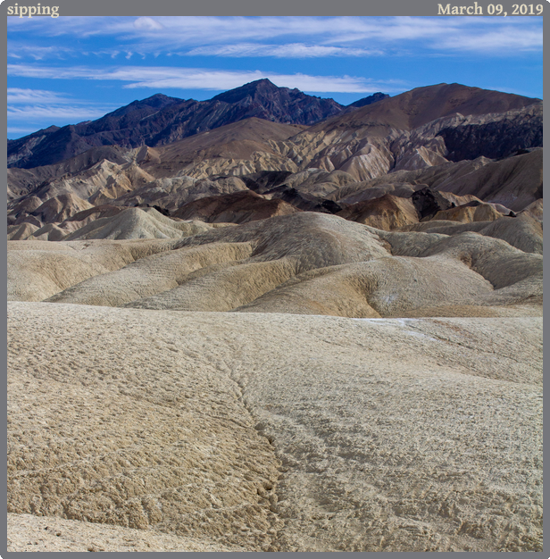 sipping, taken 2019-03-09 || Canon Canon EOS REBEL T2i | 39mm | 1/500s @ f/10