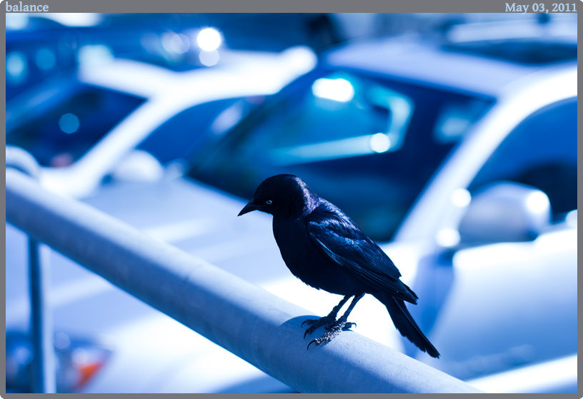 balance, taken 2011-05-03 || Canon Canon EOS REBEL T2i | 50mm | 1/640s @ f/3.2