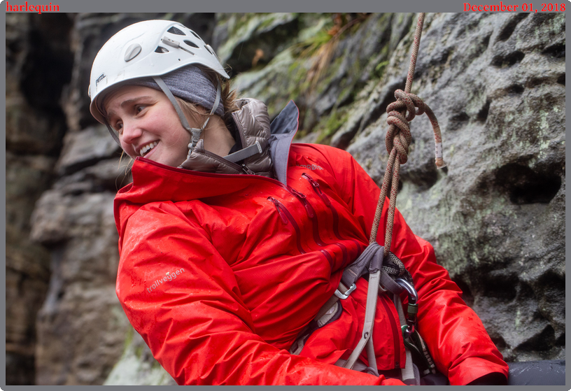 harlequin, taken 2018-12-01 || Canon Canon EOS 6D | 100mm | 1/125s @ f/5.6