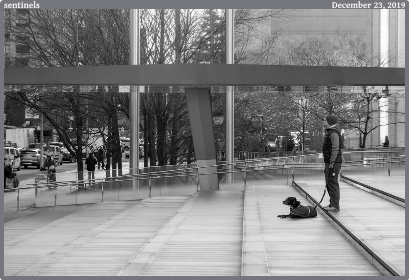 sentinels, taken 2019-12-23 || Canon Canon EOS 6D | 100mm | 1/200s @ f/6.3