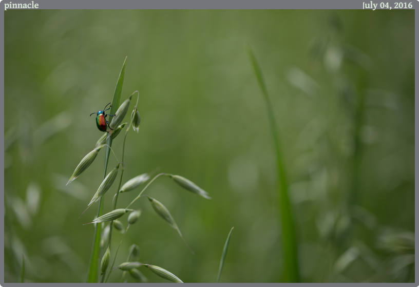 pinnacle, taken 2016-07-04 || Canon Canon EOS 6D | 100mm | 1/1600s @ f/2.8