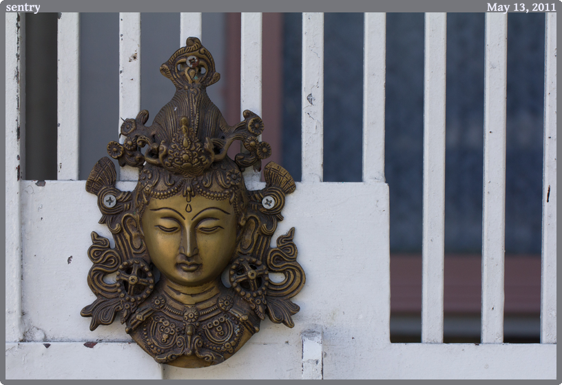 sentry, taken 2011-05-13 || Canon Canon EOS REBEL T2i | 100mm | 1/125s @ f/7.1