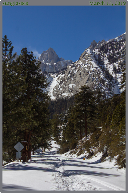 sunglasses, taken 2019-03-13 || Canon Canon EOS REBEL T2i | 55mm | 1/1000s @ f/8