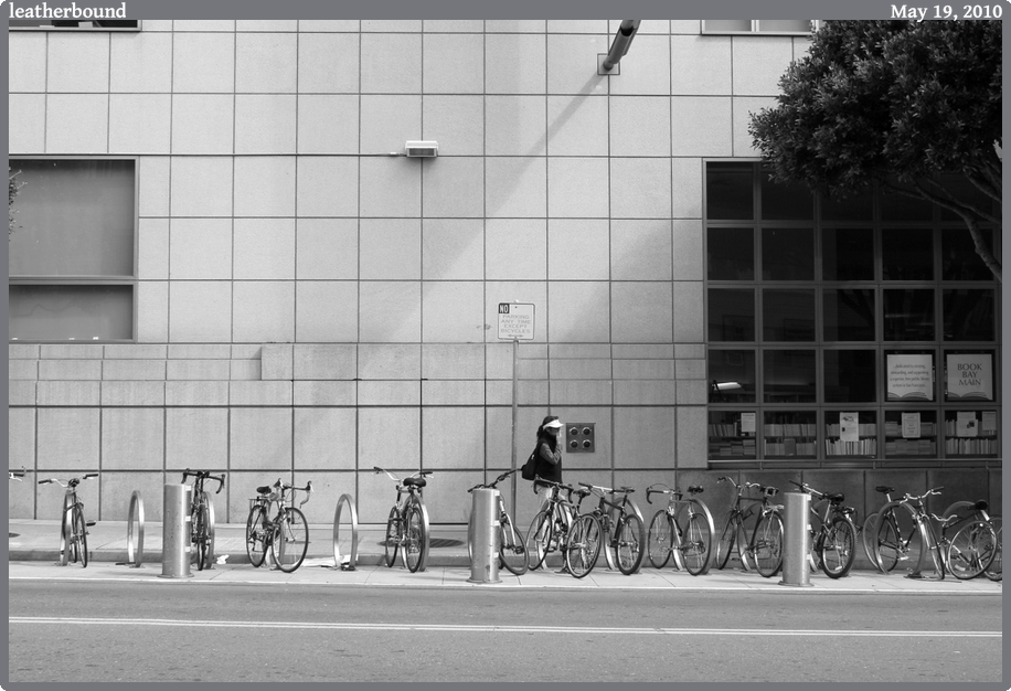 leatherbound, taken 2010-05-19 || Canon Canon EOS REBEL T2i | 30 | 1/160s @ f/10