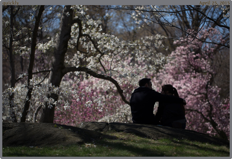 quickly, taken 2015-04-25 || Canon Canon EOS 6D | 100mm | 1/2000s @ f/2.8