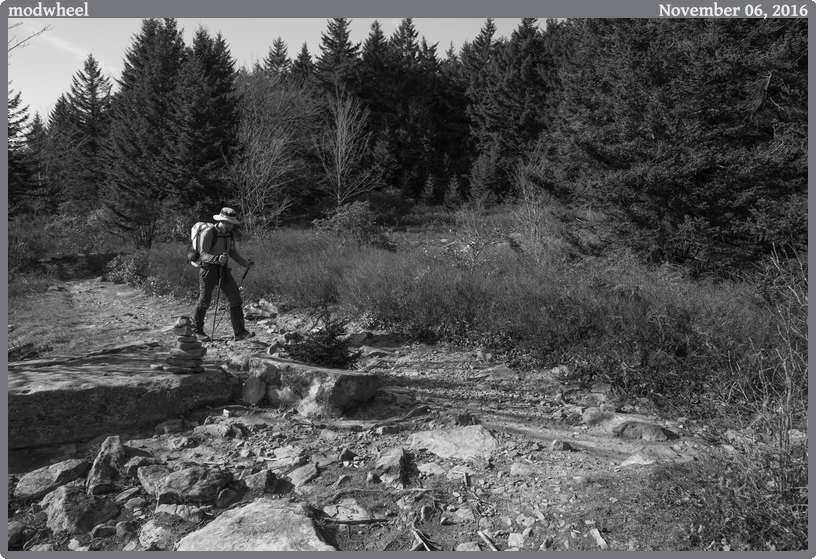 modwheel, taken 2016-11-06 || Canon Canon EOS 6D | 24mm | 1/400s @ f/6.3