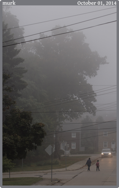 murk, taken 2014-10-01 || Canon Canon EOS REBEL T2i | 100mm | 1/125s @ f/3.5