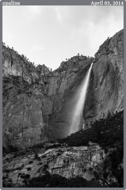 opaline, taken 2014-04-03 || Canon Canon EOS REBEL T2i | 50mm | 8s @ f/36