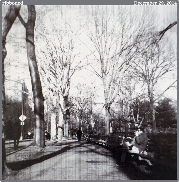 ribboned, taken 2014-12-29 || Canon Canon EOS 6D | 100mm | 1/30s @ f/2.8